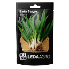 Семена лука Байа Верде, 100шт, Seminis, Нидерланды