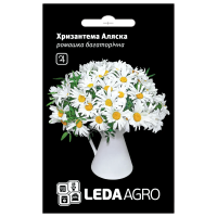 Семена хризантемы Аляска, ромашка многолетняя, 0.4 г, Hem, Нидерланды