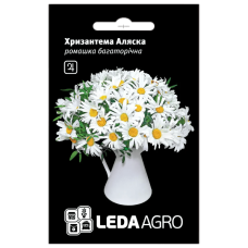 Насіння хризантеми Аляска, ромашка багаторічна, 0.4 г, Hem, Нідерланди