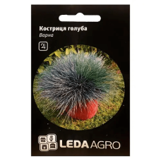 Насіння Костриці декоративної блакитна, 0.2г, Hem, Нідерланди