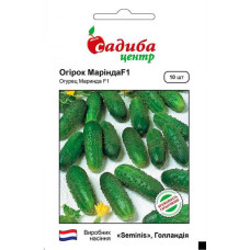 Насіння огірка Марінда F1, 10 шт, Seminis, Нідерланди, Садиба Центр