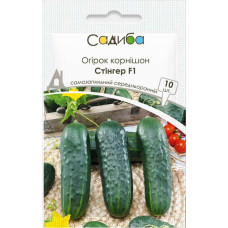 Насіння огірка Стінгер F1, 10 шт.,Lark seeds, США, Садиба