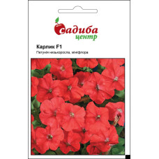 Семена петунии Карлик красный F1, 10 гран., Black Seed, Садыба Центр