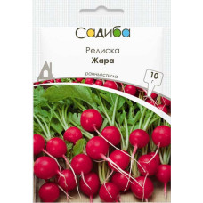 Семена редиса Жара, 10 г, Satimex, Германия, Усадьба