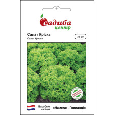 Насіння салату Кріска, 30 шт., Hazera, Нідерланди, Садиба Центр
